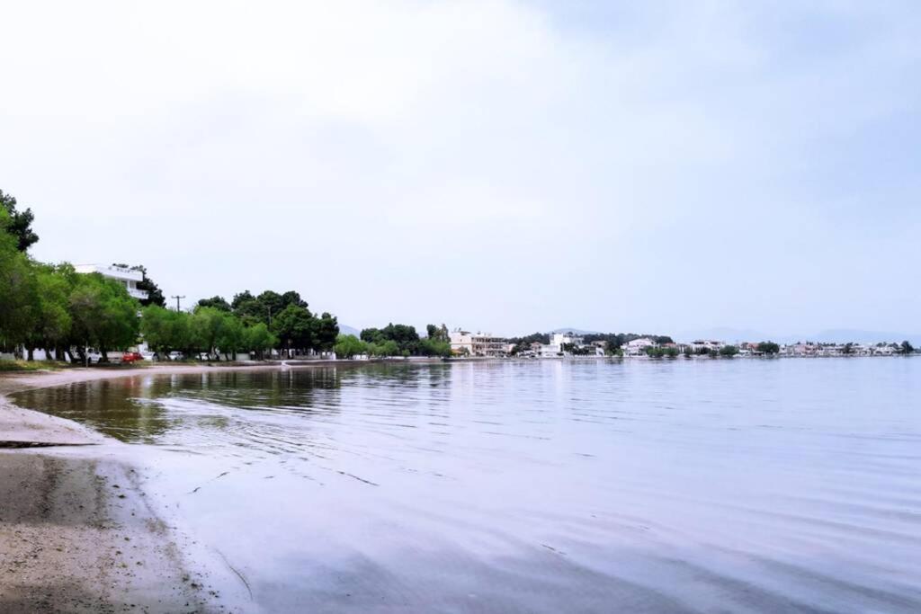 Πολυτελές Διαμέρισμα 2 Χαλκίδα-Παραλία Αυλίδος Paralia Avlidhos Екстериор снимка