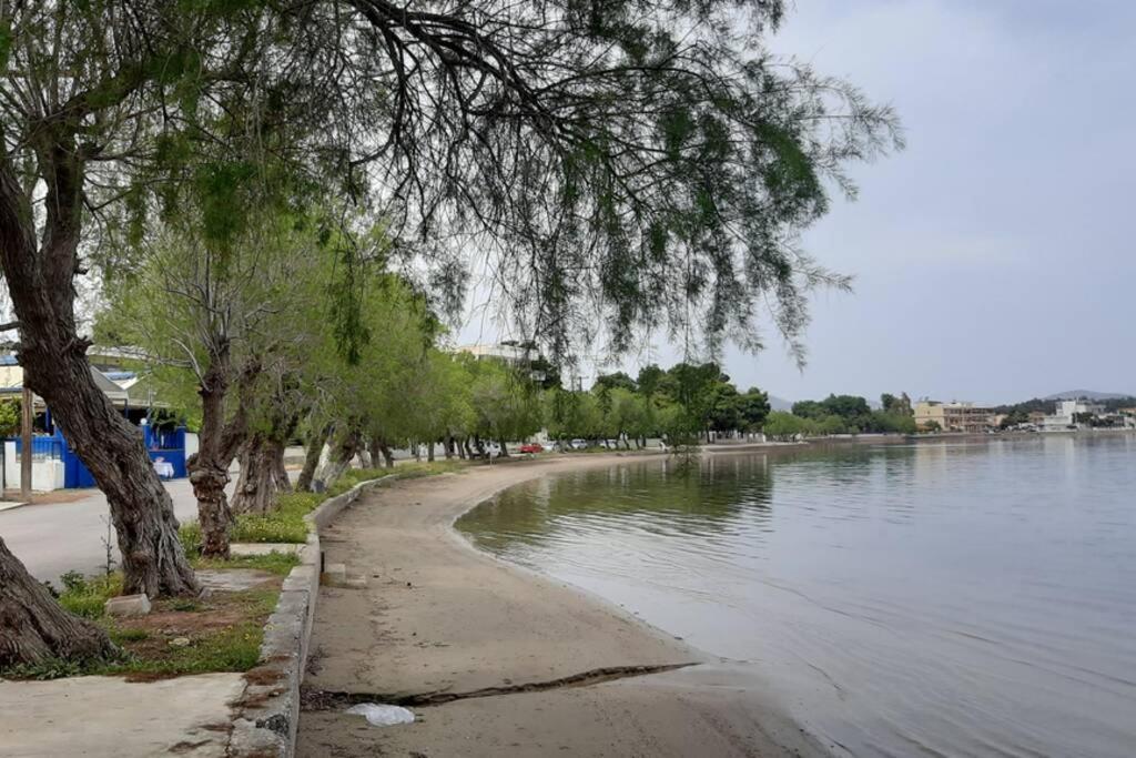 Πολυτελές Διαμέρισμα 2 Χαλκίδα-Παραλία Αυλίδος Paralia Avlidhos Екстериор снимка